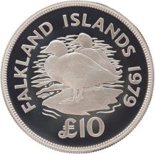 Falkland Islands 10 Pounds Flightless Steamer Ducks 1979 silver Proof