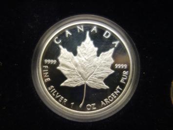 Canada Commemorative Maple Leaf Issue 1989