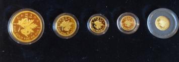 Canada Gold Maple Leaf coin set 2012