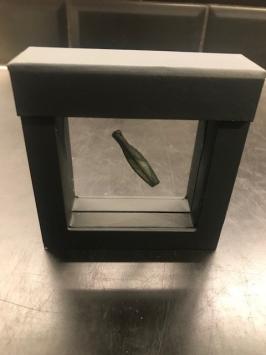 Arrowhead money from ancient Istros
