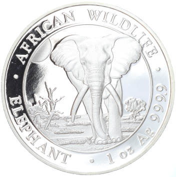 Somalië Olifant 2025 1 ounce silver